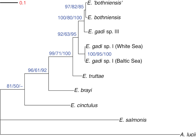 Figure 4.