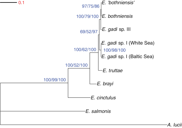 Figure 6.