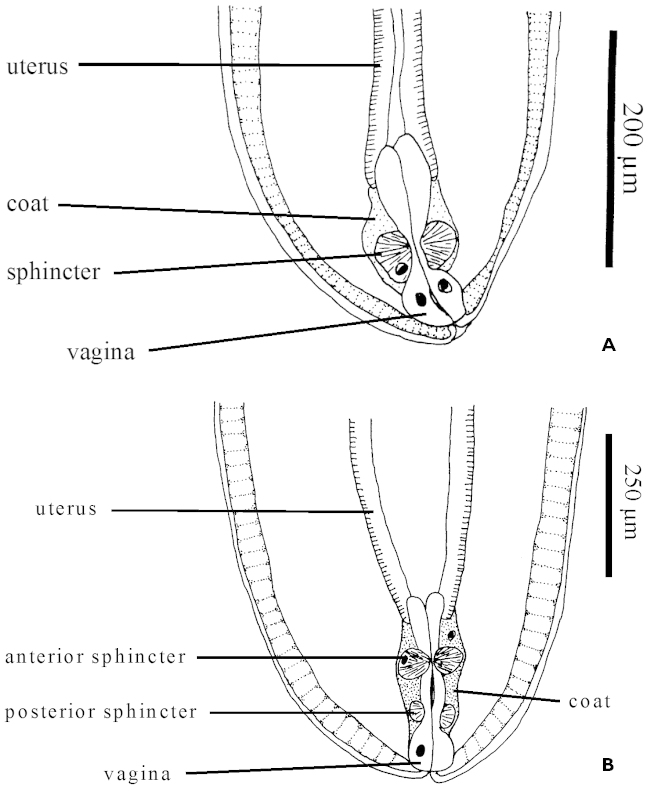 Figure 8.