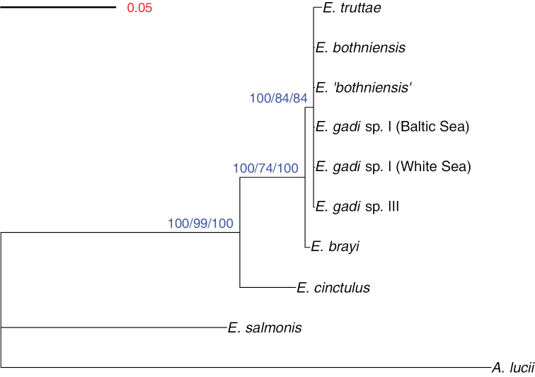 Figure 3.