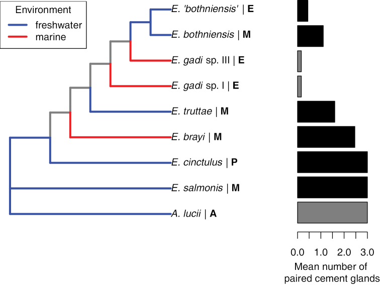 Figure 7.