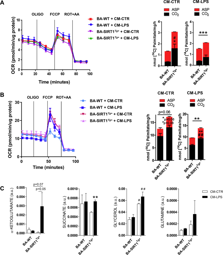 Figure 6