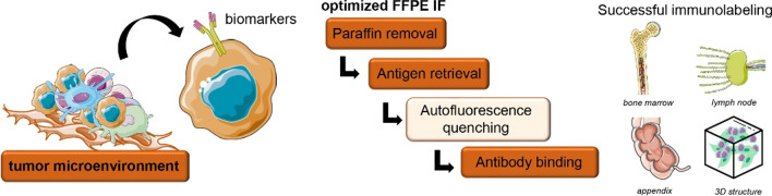 graphic file with name 12079_2023_753_Figa_HTML.jpg