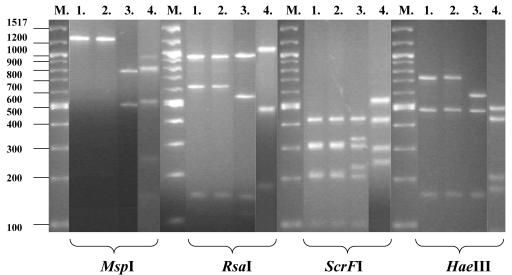 FIG. 1.