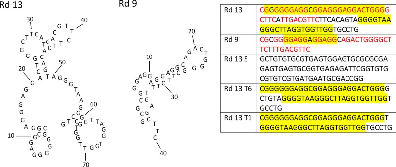 FIG 1 