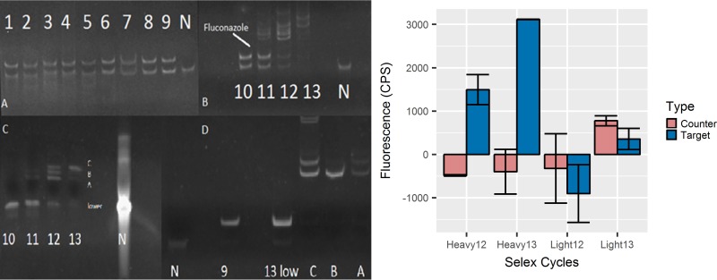 FIG 3 