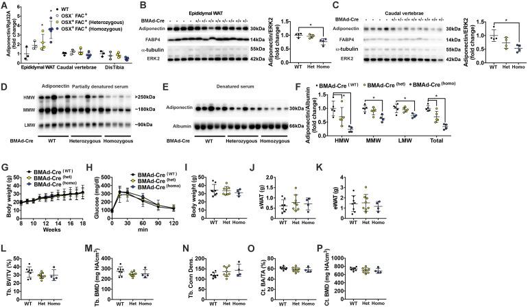 Figure 1—figure supplement 2.