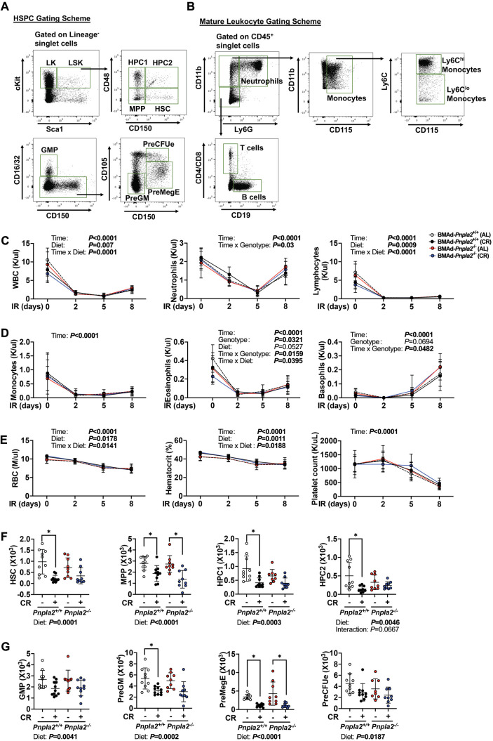 Figure 4—figure supplement 1.