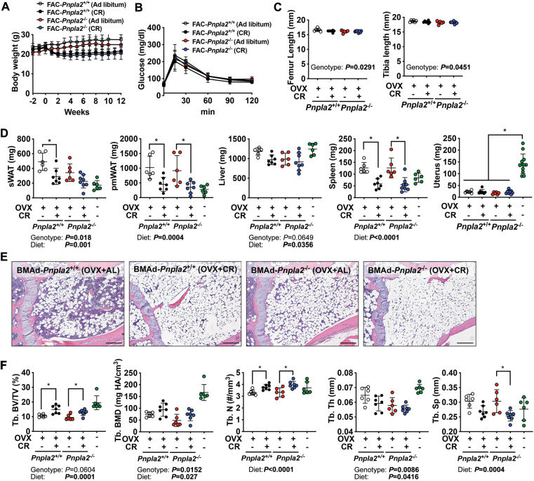 Figure 3—figure supplement 4.