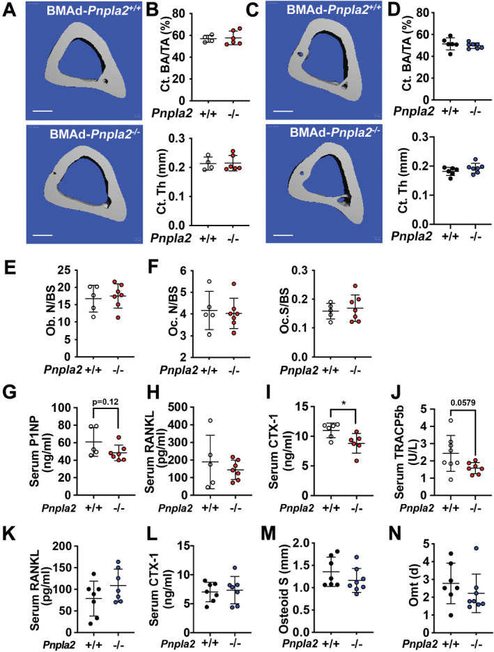 Figure 3—figure supplement 2.