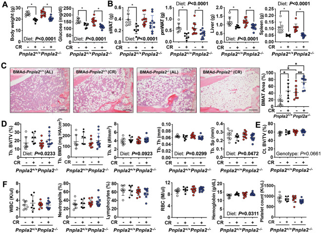 Figure 3—figure supplement 3.