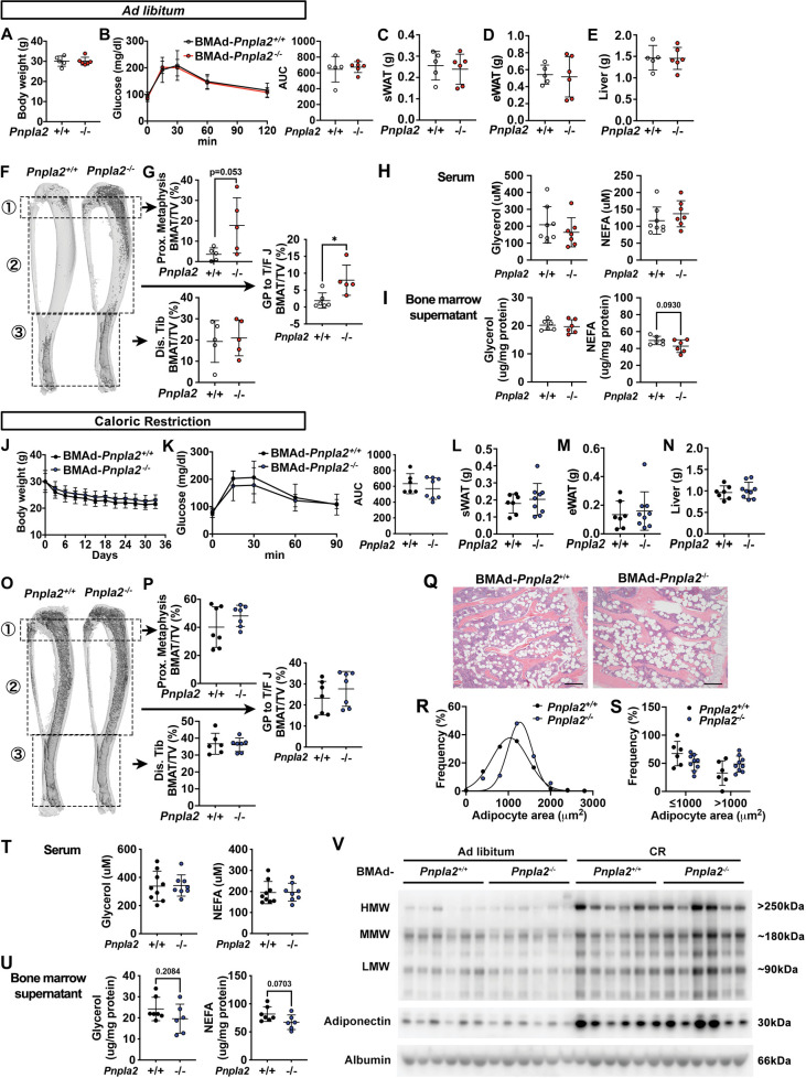 Figure 3—figure supplement 1.