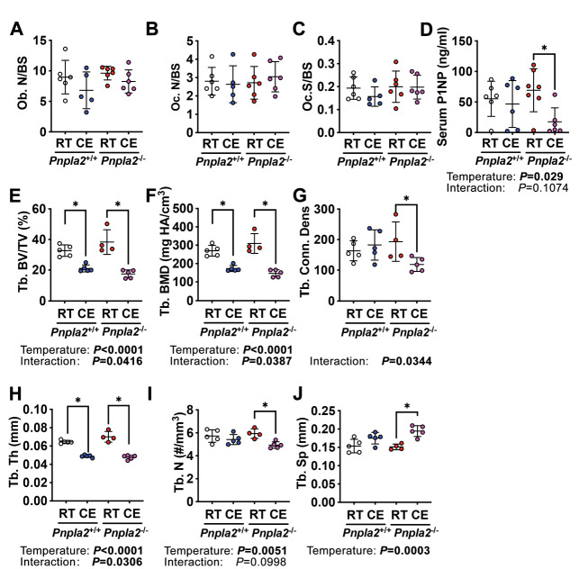 Figure 6—figure supplement 1.