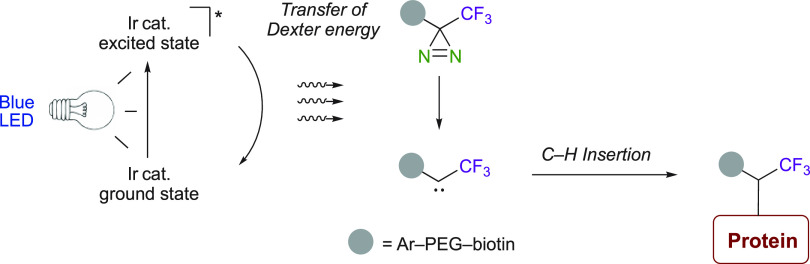 Scheme 23