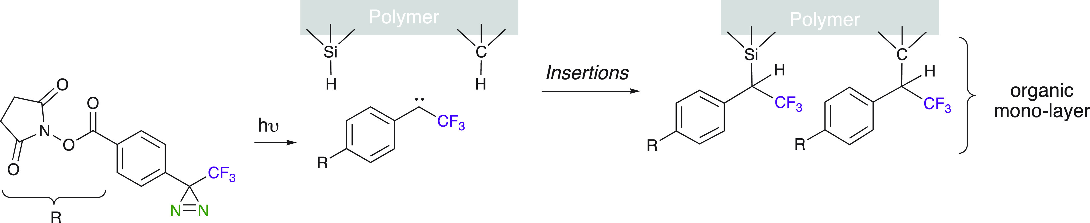 Scheme 25