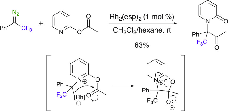 Scheme 30