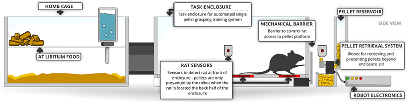 Figure 4: