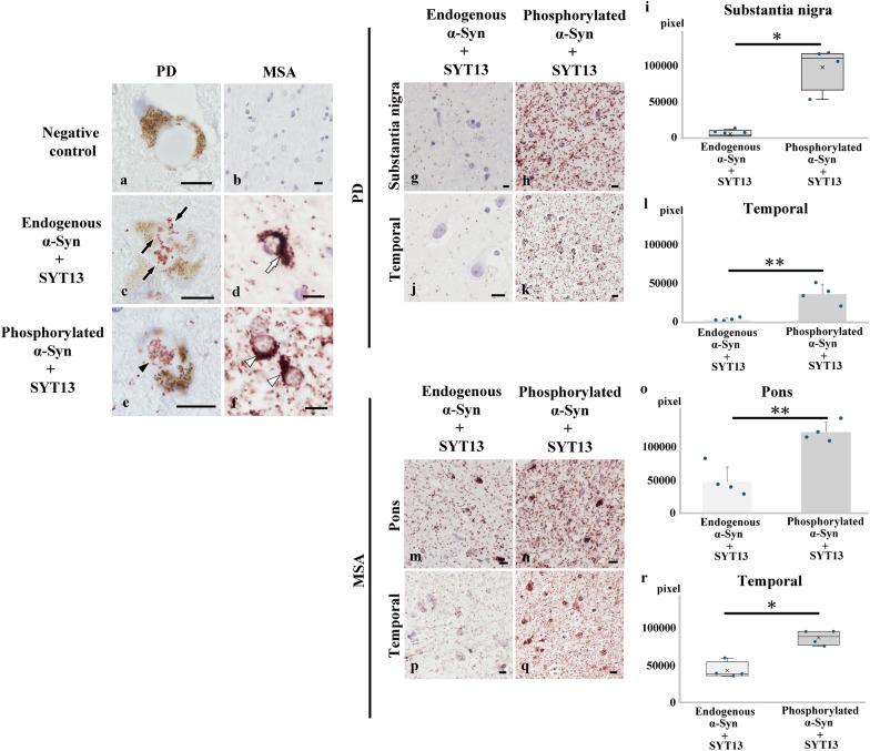 Fig. 4