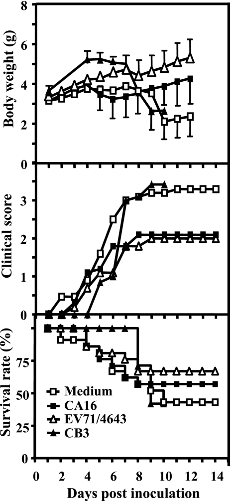 FIG. 2.