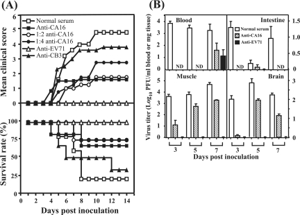 FIG. 6.