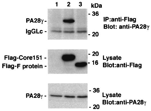 FIG. 9.