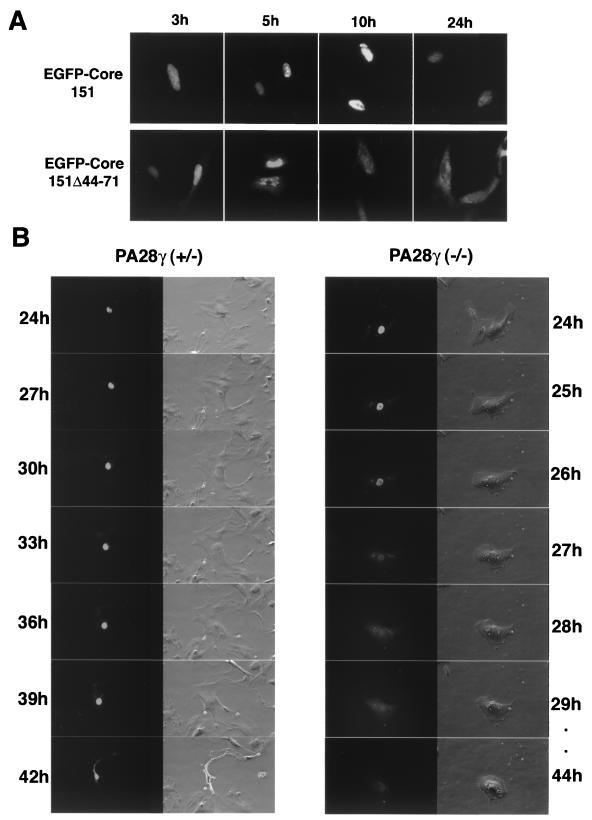 FIG. 7.