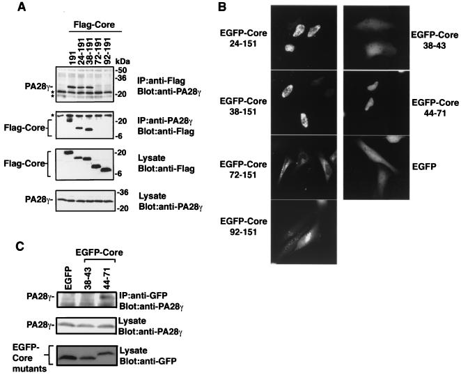 FIG. 6.