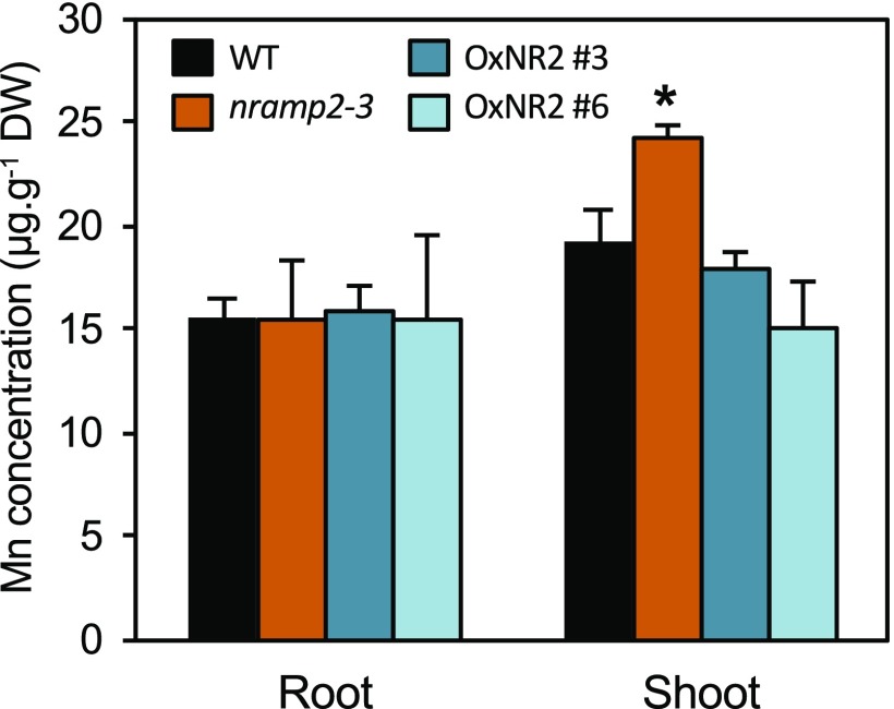 Figure 2.