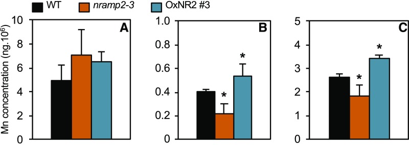 Figure 7.