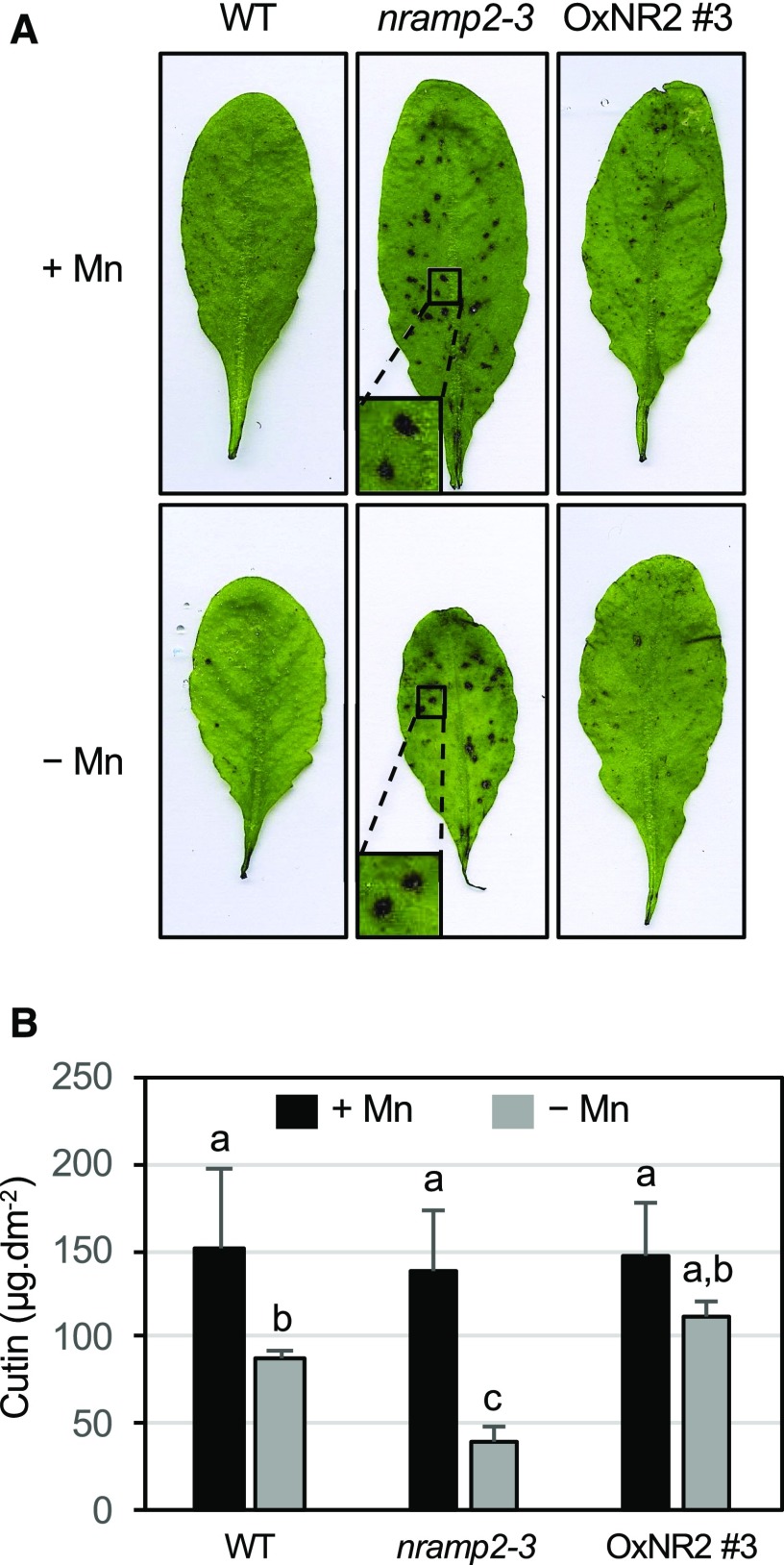 Figure 9.