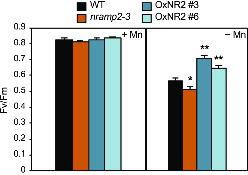 Figure 6.