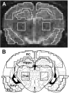 <sc>fig</sc> 1.