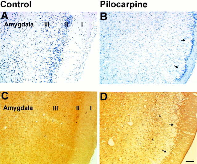 fig 5.