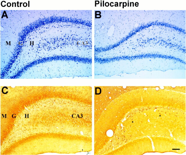 fig 4.