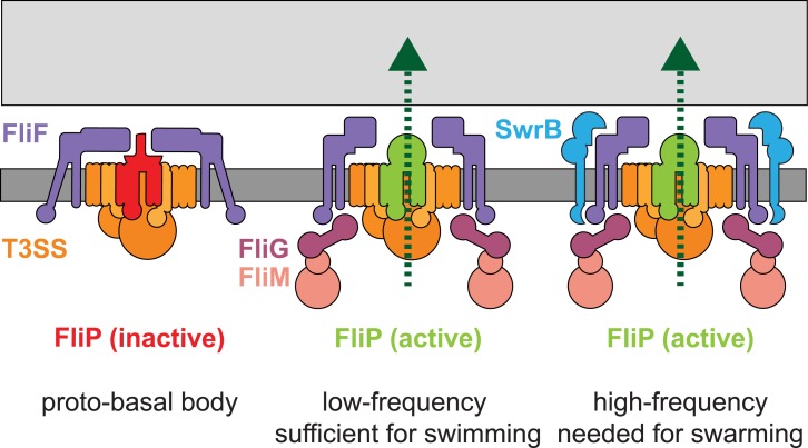 Fig 11