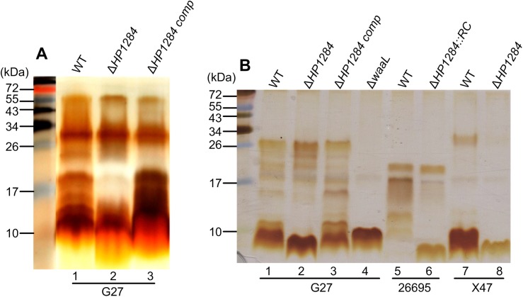 Fig 3