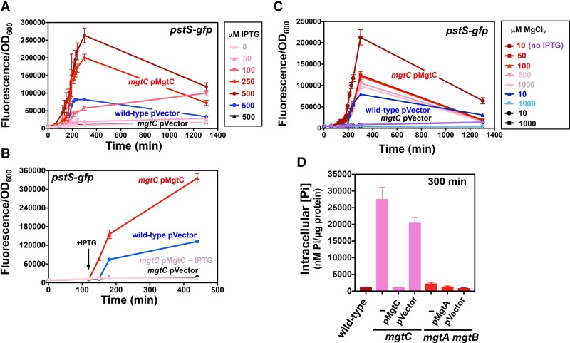 Figure 4.