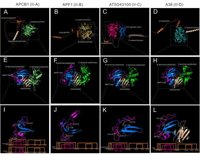 Figure 4