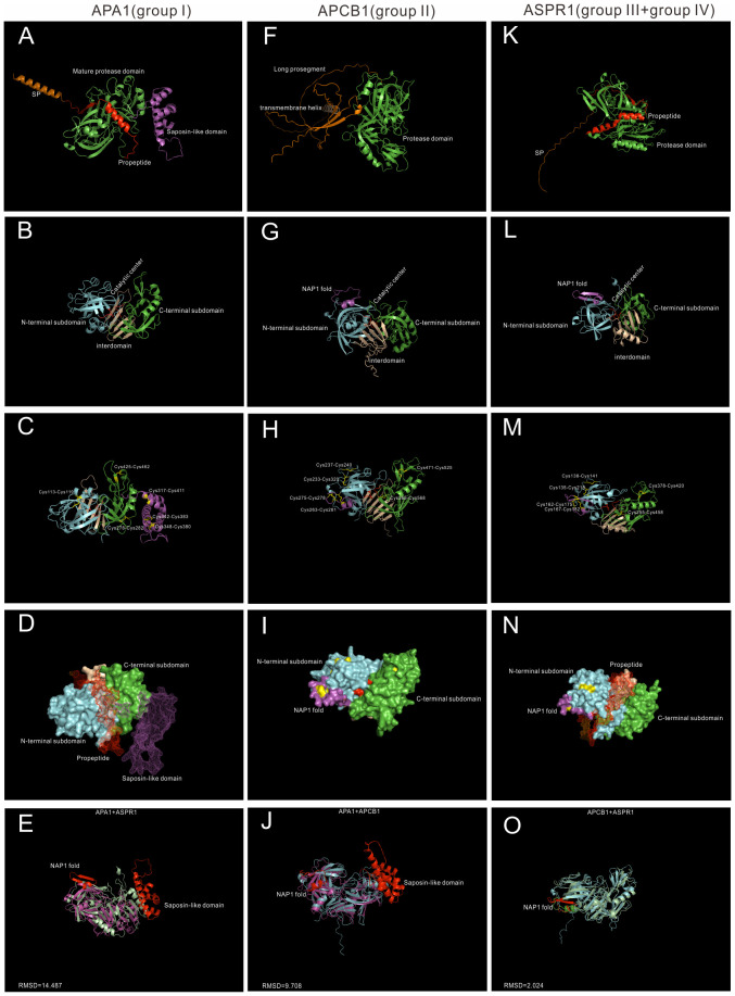 Figure 2