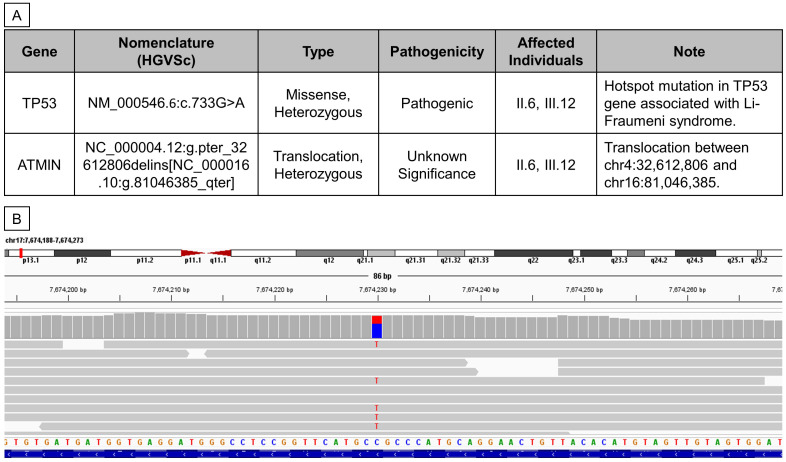 Figure 3