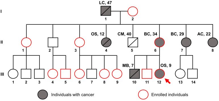 Figure 2