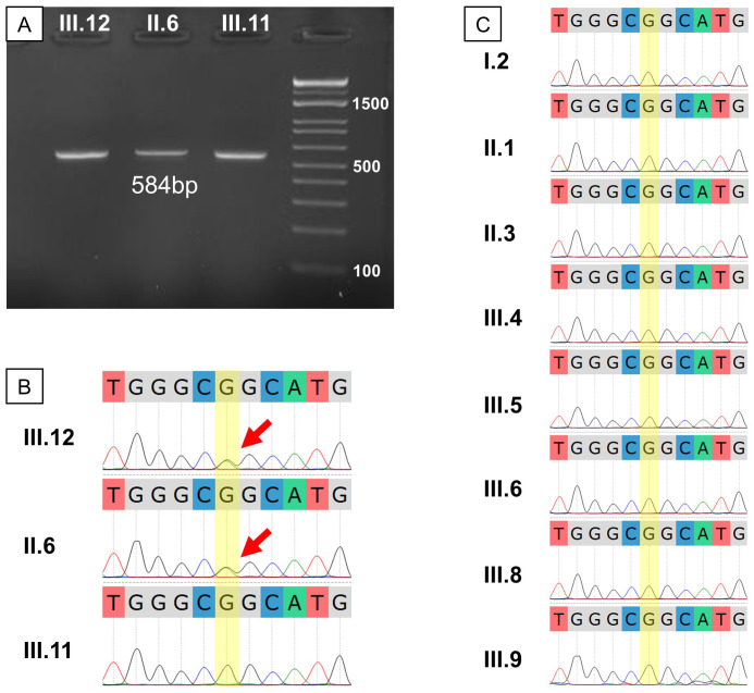 Figure 4