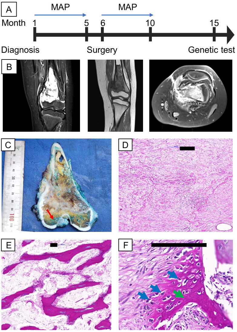 Figure 1