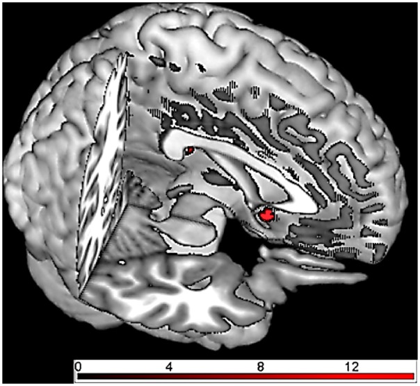 Fig. 3.