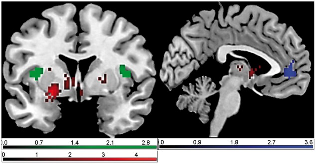 Fig. 4.