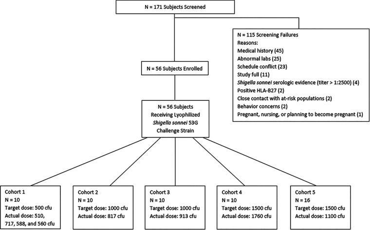 FIG 1