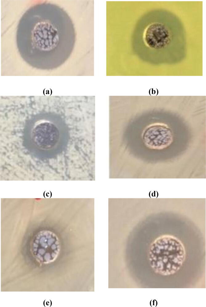 Fig. 6