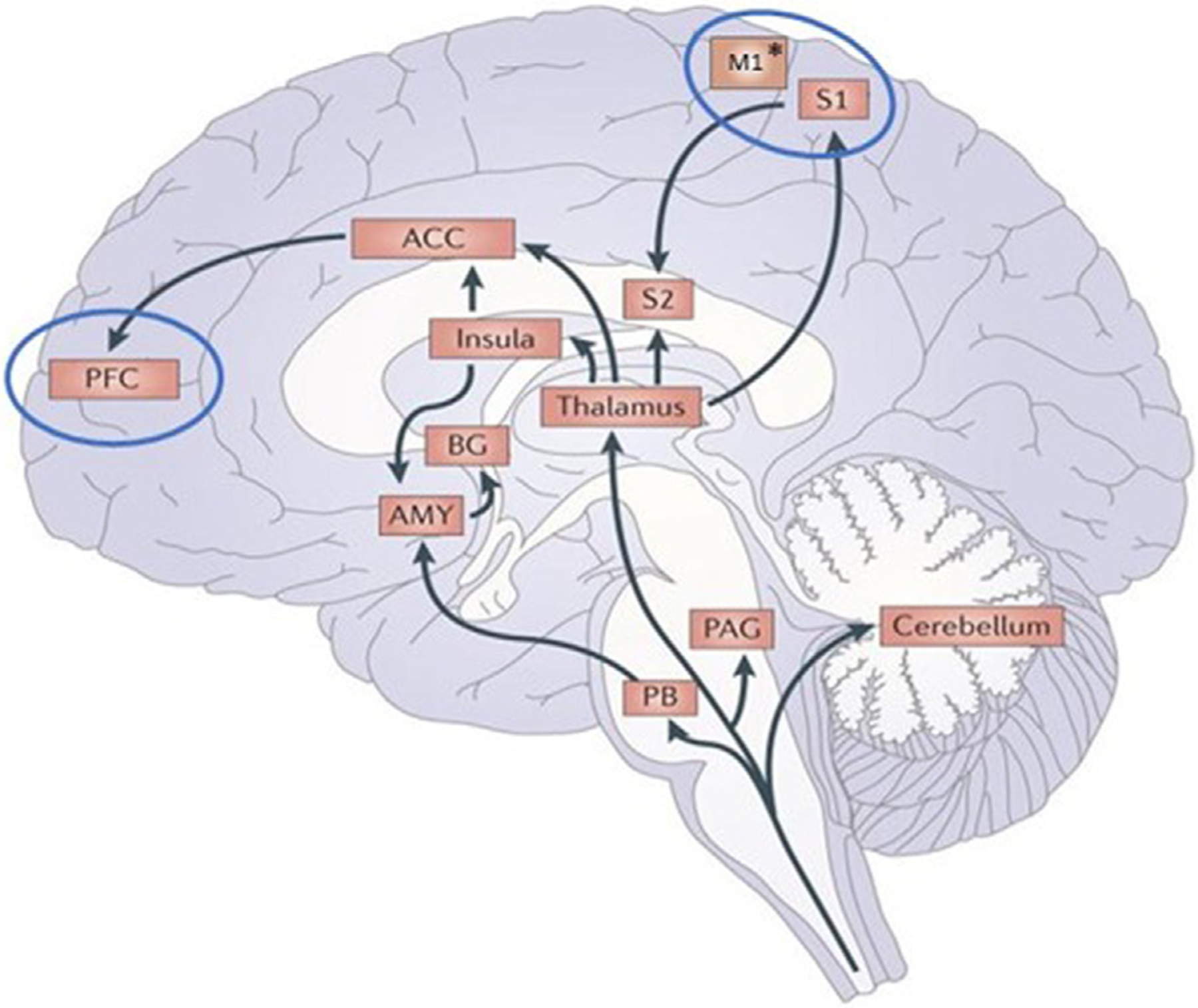 Fig. 1 –