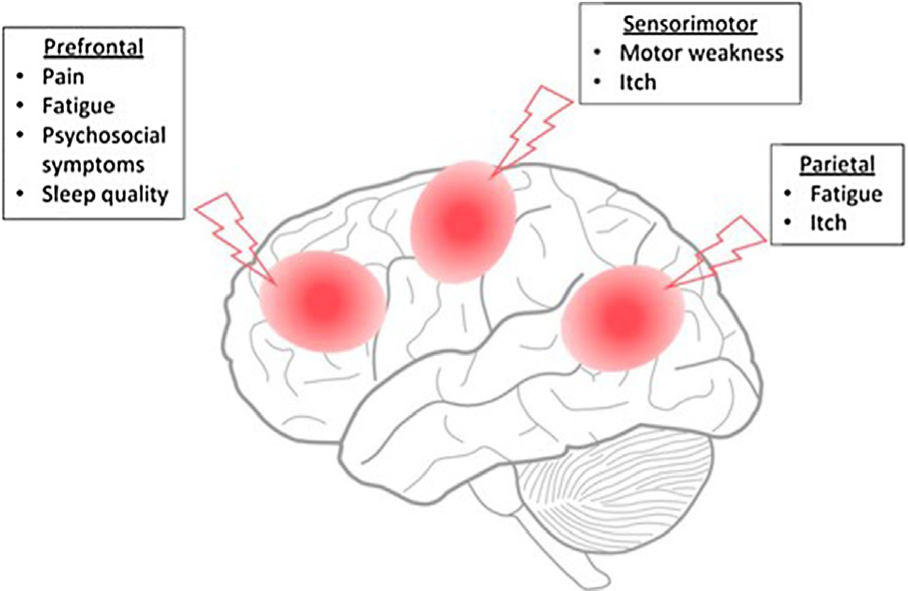 Fig. 2 –