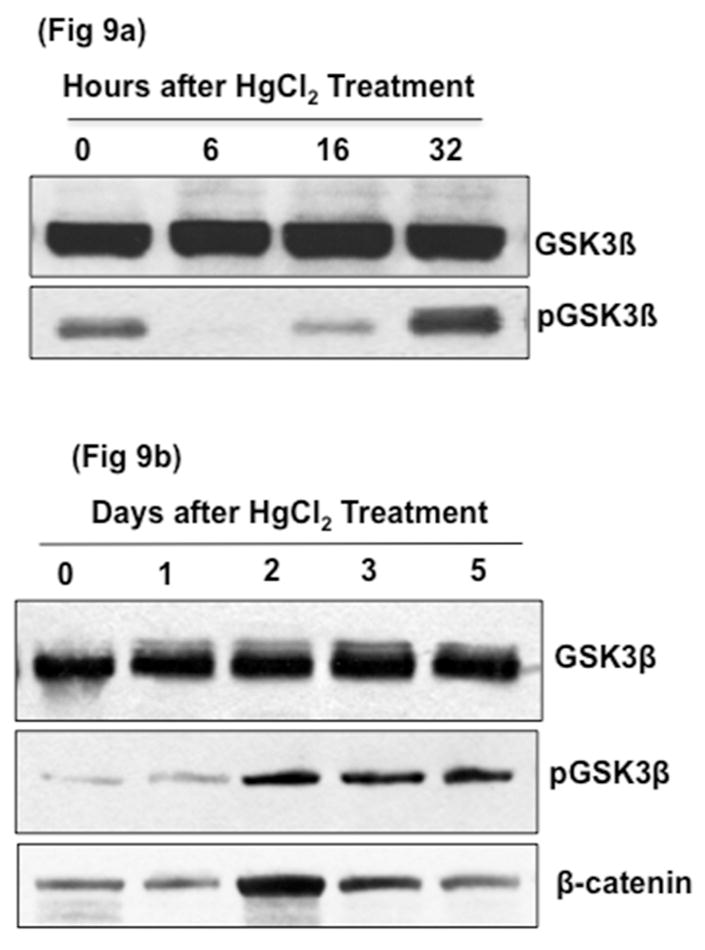 Fig. 9